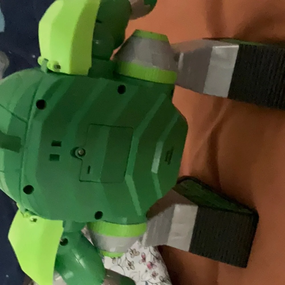 Gecko - Picture 3 of 4